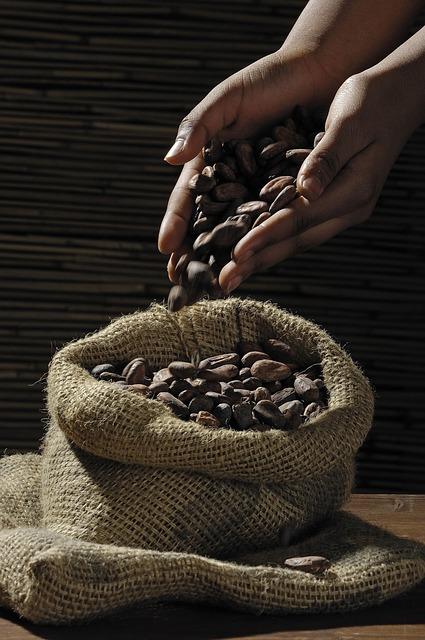 Choosing the ‍Right Raw Cacao Powder: Key Factors to Consider