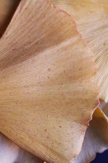 Practical Tips for ⁢incorporating​ Ginkgo Biloba⁢ into Your Routine