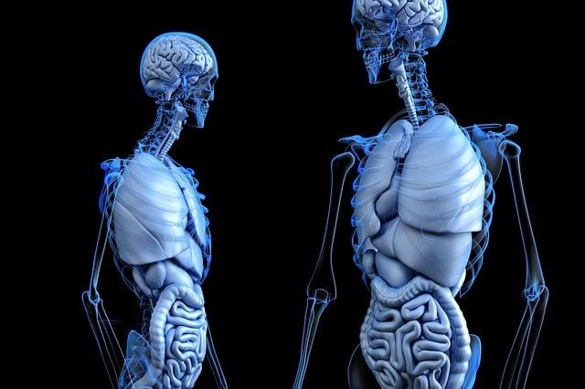Practical Tips for Choosing the ⁣Right Digestive Enzyme Complex for Your needs