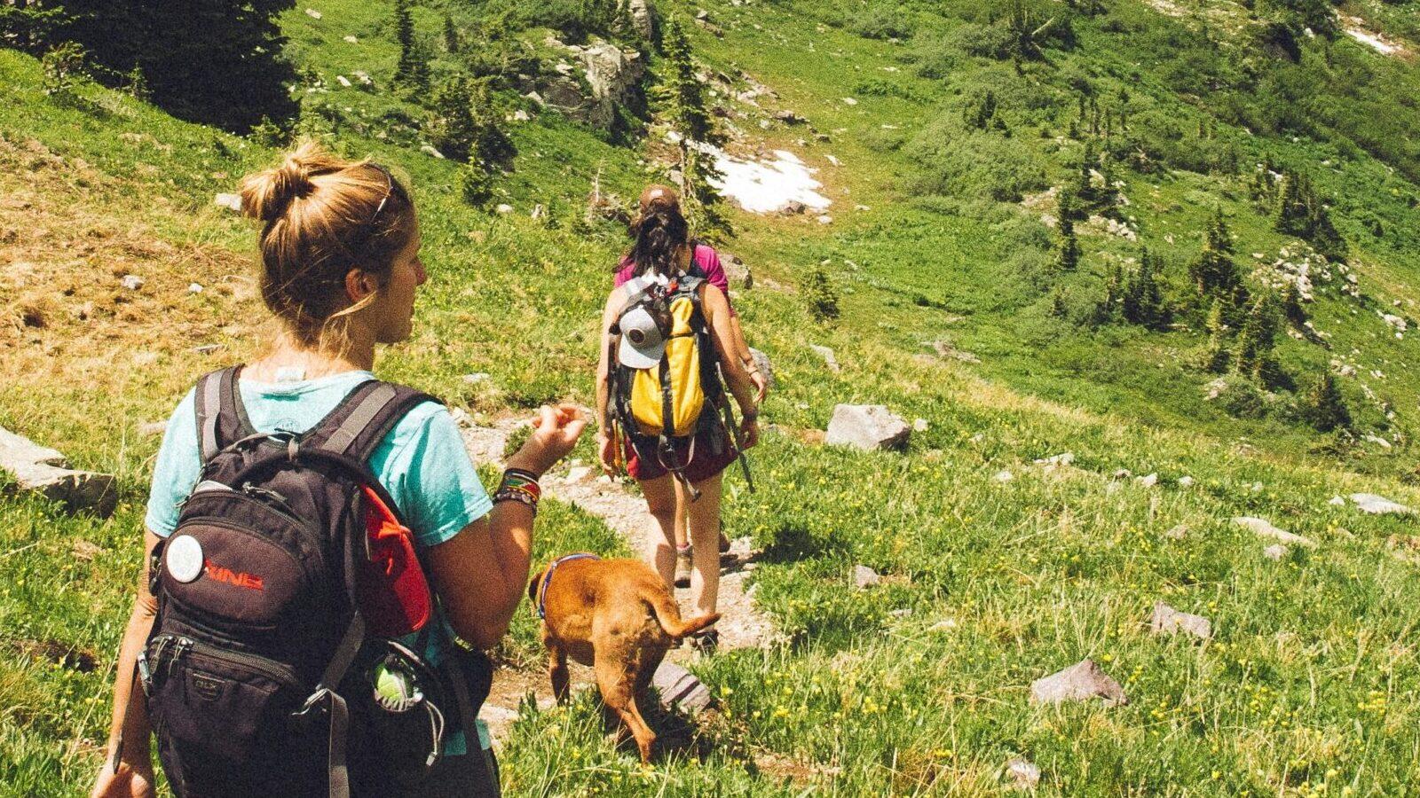 practical Insights for Outdoor Enthusiasts and Casual Users