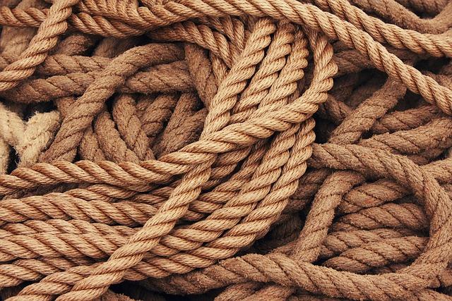 Understanding Marine‍ Fiber and Its Role in Lipid Binding
