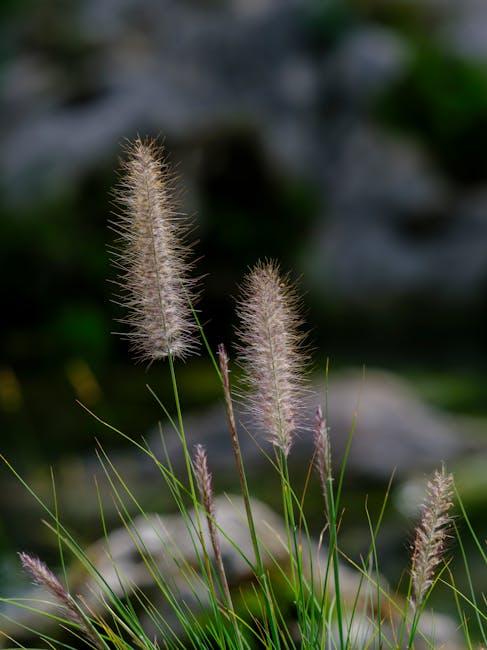 Understanding the Softness Factor: Why It matters ‍for Sleep Quality
