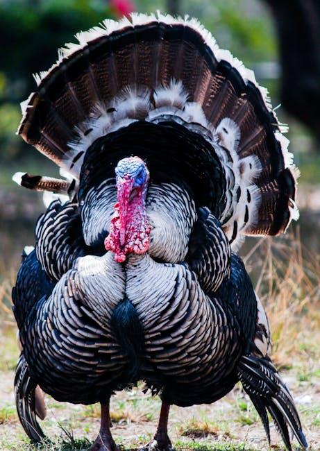 Exploring the Convenience of Gobble's Quick meal Solutions