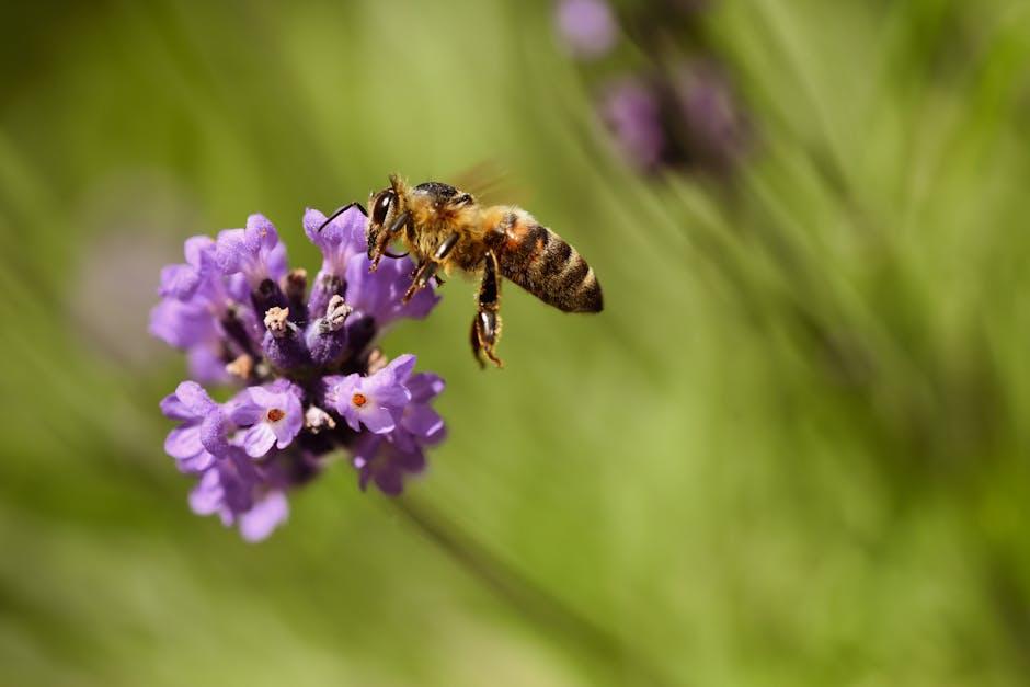 Cooling Technology Unveiled: Assessing Heat Retention in Nectar Mattresses
