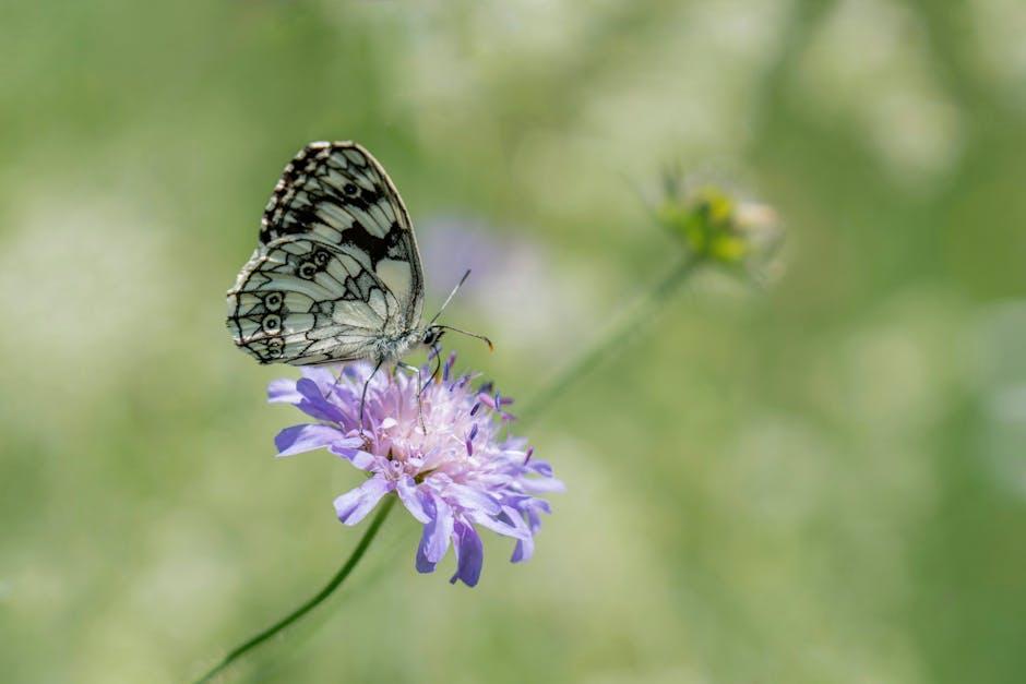 Recommendations for⁢ Optimal Sleep: Making the Most of Your Nectar mattress