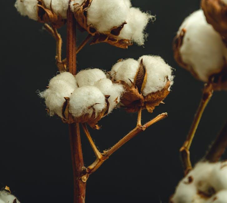 Exploring the Luxurious Feel of ⁢Boll & Branch Signature​ Hemmed Sheets