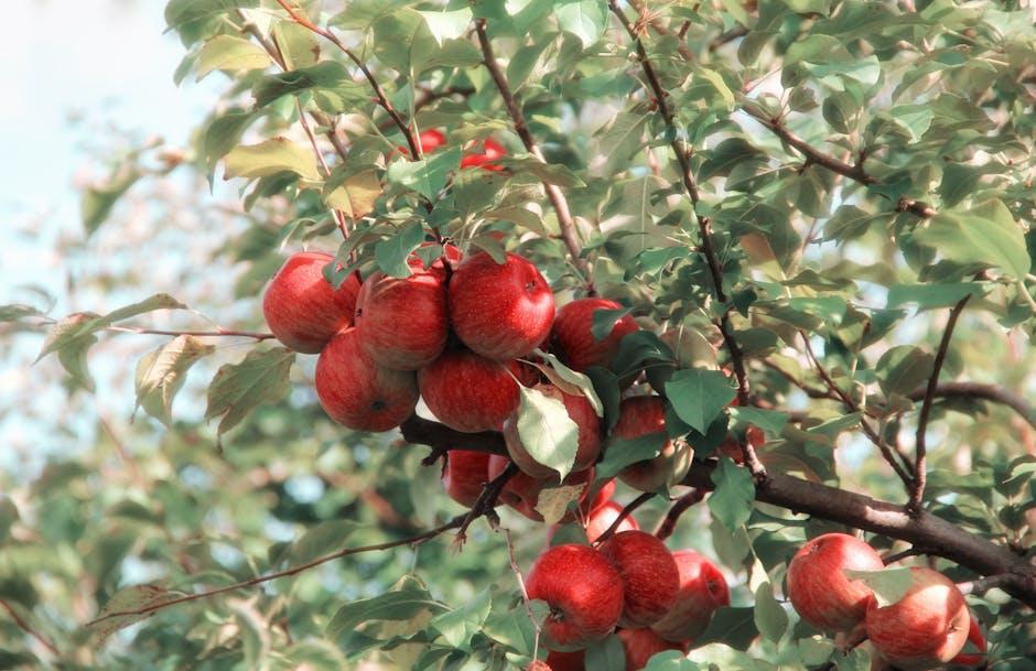 Understanding ​the Nutritional Profile of Goli Apple Cider Vinegar ​Gummies