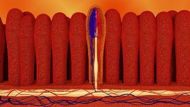 Investigating Factors Influencing Curcumin Absorption