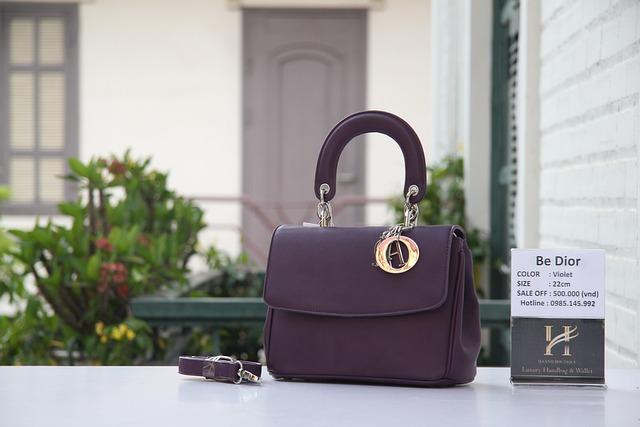 Dior Saddle ⁣bag as an Icon of Y2K Fashion⁣ Revival