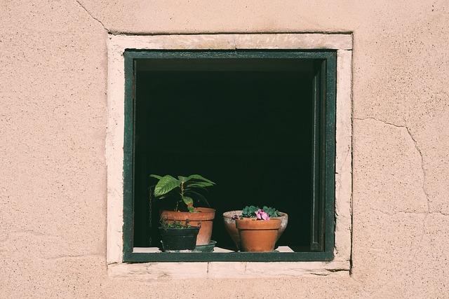 Application Insights: Achieving the Perfect Cleanse