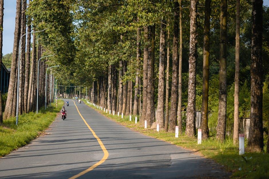 Exploring ⁤the World of Hamptons ‌Lane: A Curated Selection of⁤ Gourmet Ingredients