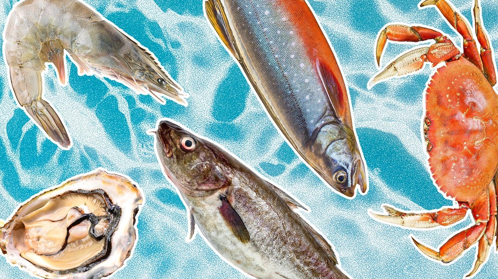 The Sustainability Commitment Behind Every Catch