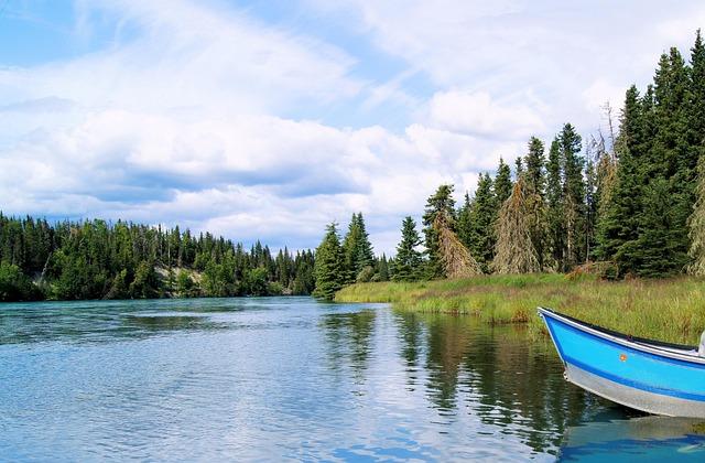 Unveiling the Freshness of Wild Alaskan Seafood