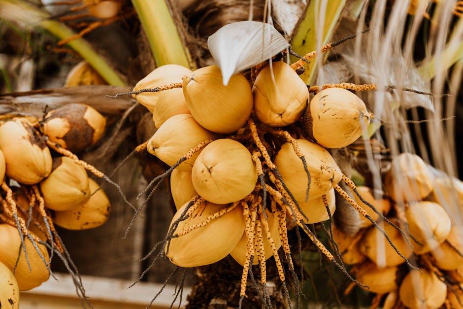 Exploring the Versatility of Kopari Coconut Melt in Your Skincare‌ Routine