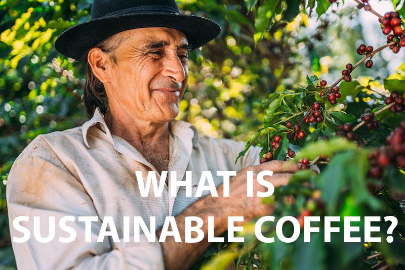 Lasting Sourcing: The Importance of Ethical Practices in Coffee Subscriptions