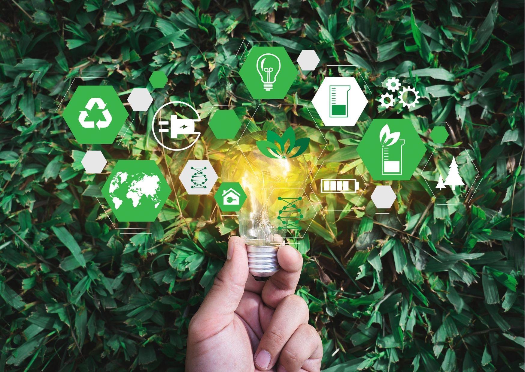 Sustainable Choices: ⁣The environmental⁣ Impact of ‌Revive Superfoods' Practices