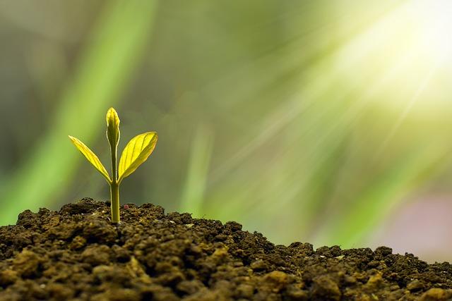 Sustainability and Ethics in Every Sip: Bean Box Commitment ‌to Responsible Sourcing