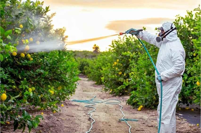 Pesticide Residues ⁢Uncovered: ​Navigating Safety ⁣Standards for Infants