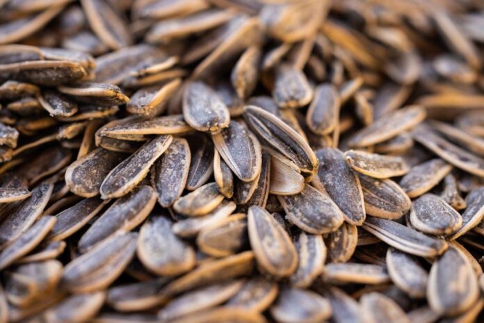 Raw Sunflower Seed Butter: Allergen-Free Nut Butter Alternative