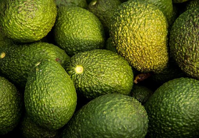 Organic Avocado Oil Taste Test: Cooking Performance & Smoke Point