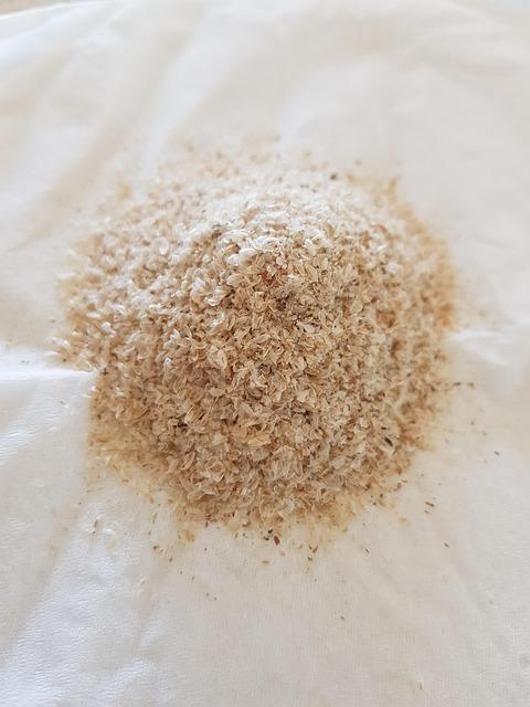 Psyllium Husk Fiber: Satiety Enhancement & Digestive Health