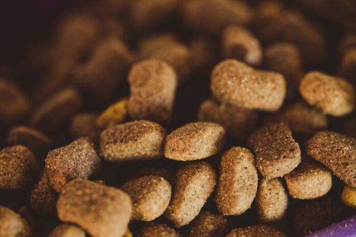 Fiber Supplement Comparison: Soluble vs Insoluble Weight Control